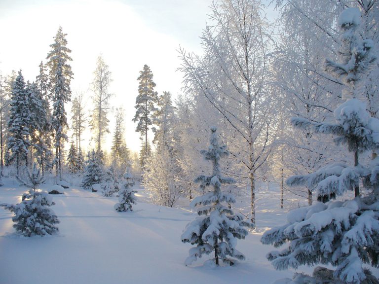 10 sheet nhạc piano tiêu biểu về mùa đông